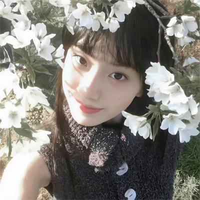 酱园弄·悬案